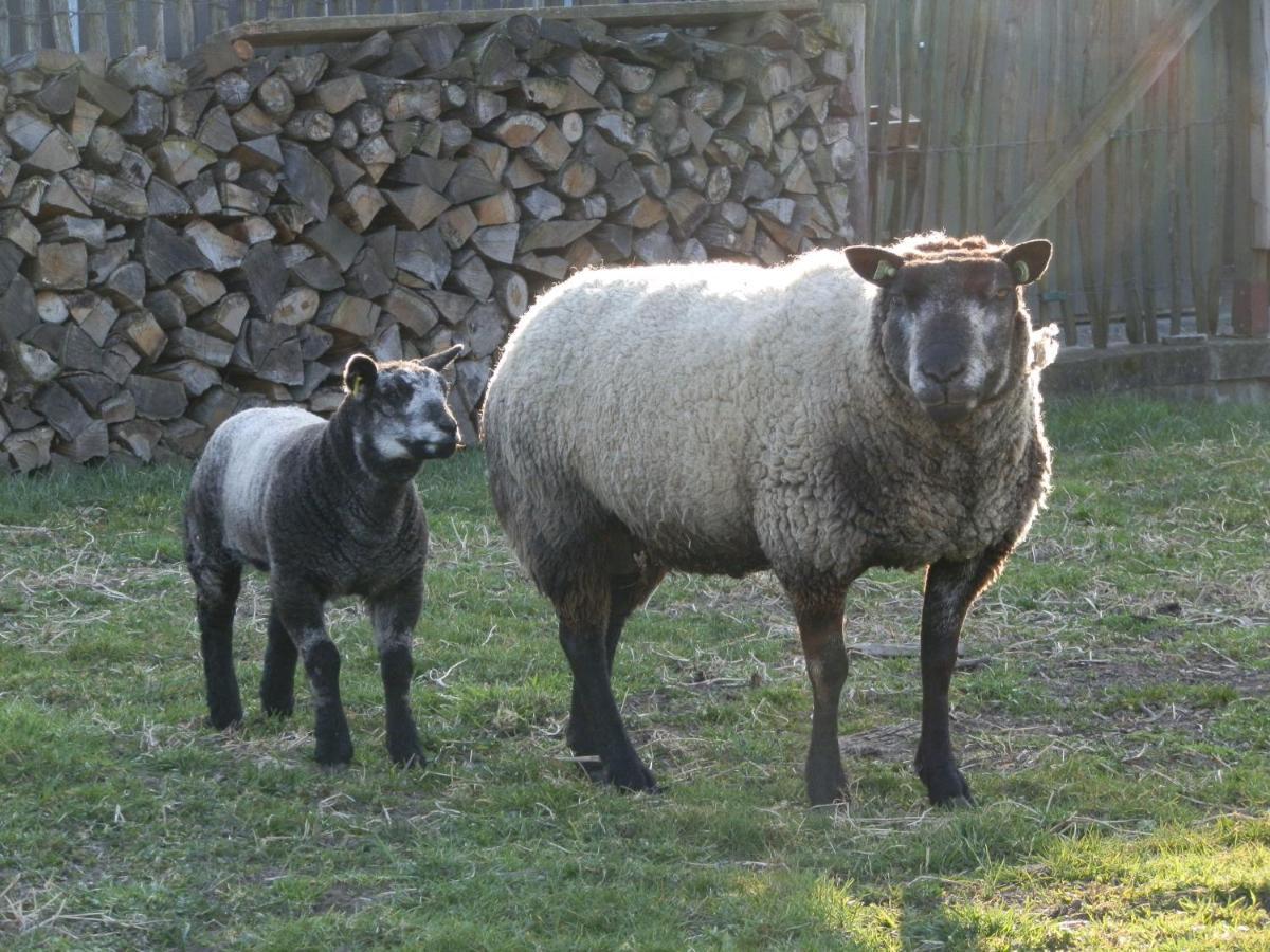 Herberg Oud Holset Lemiers Exterior foto